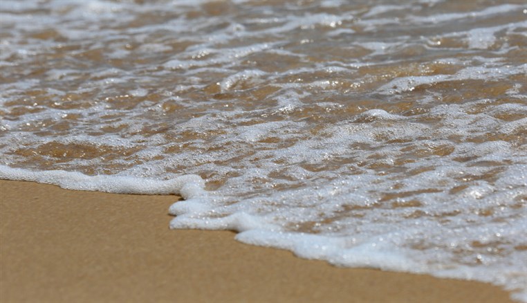 Edde Sands on Thursday 